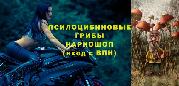 молекула духа Алексеевка