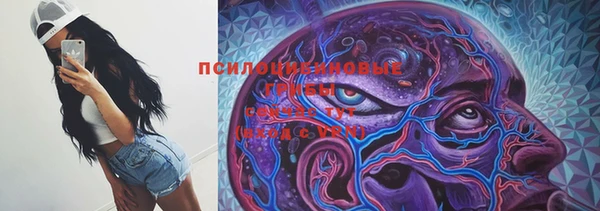 молекула духа Алексеевка
