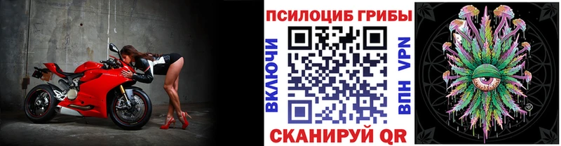 даркнет сайт Отрадная Псилоцибиновые грибы GOLDEN TEACHER